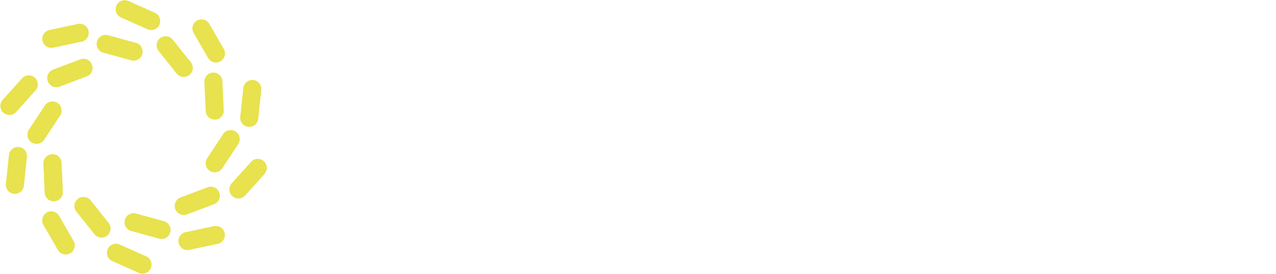 Hey Swarm